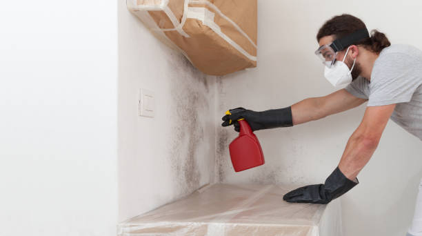 Professional Bathroom Mold Removal technician working in Saint Michaels, MD
